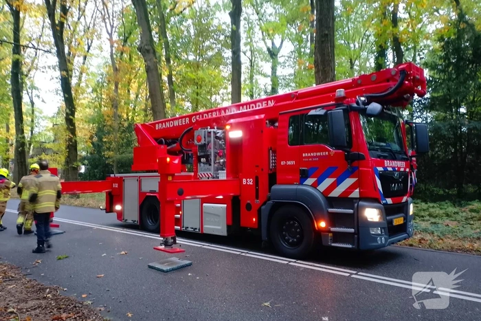 Natuurincident zorgt voor verkeershinder