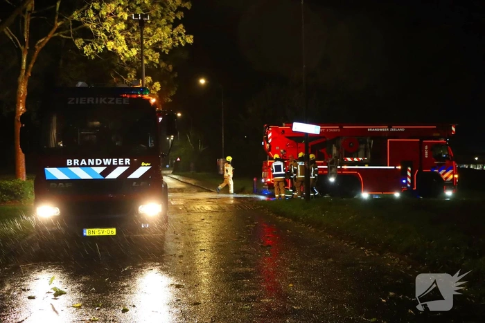 Boom valt tegen andere boom tijdens storm