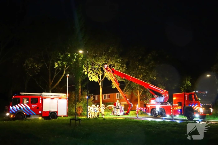 Boom valt tegen andere boom tijdens storm