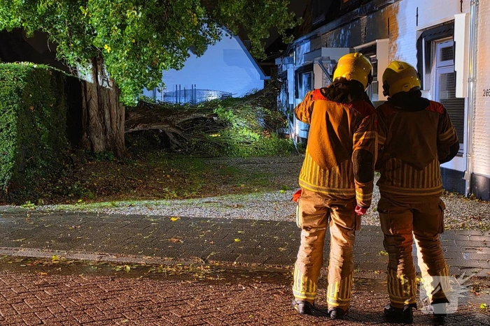 Boom valt op woning en auto