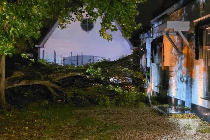 Boom valt op woning en auto