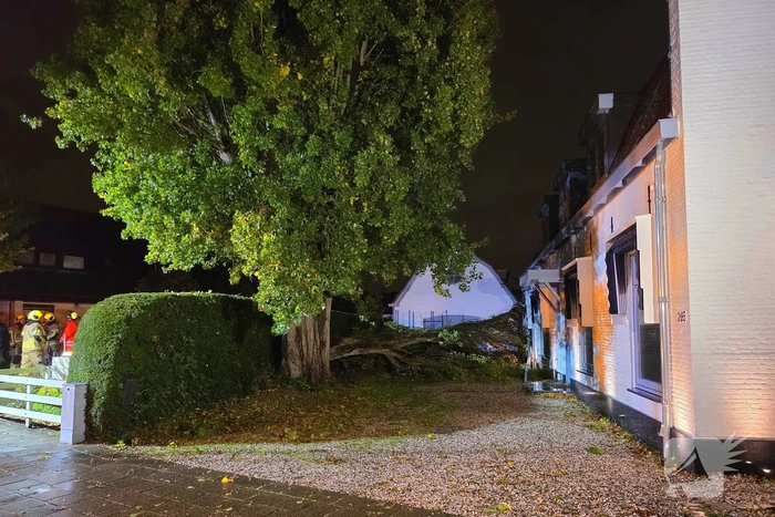 Boom valt op woning en auto