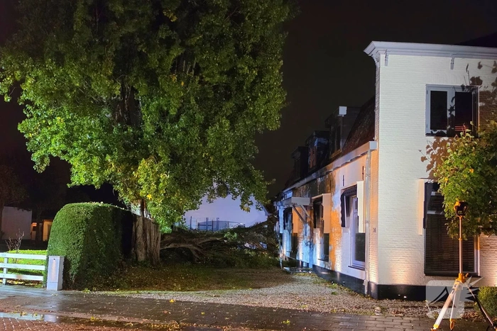 Boom valt op woning en auto
