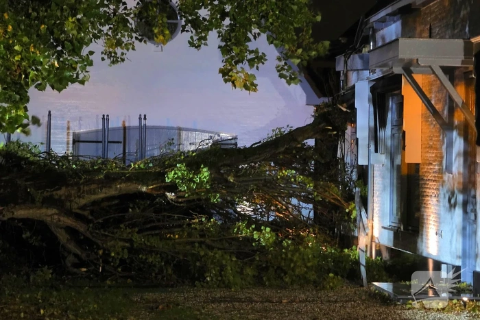 Boom valt op woning en auto