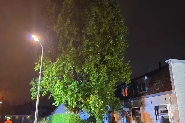 Boom valt op woning en auto