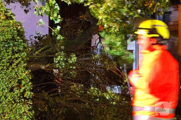 Boom valt op woning en auto