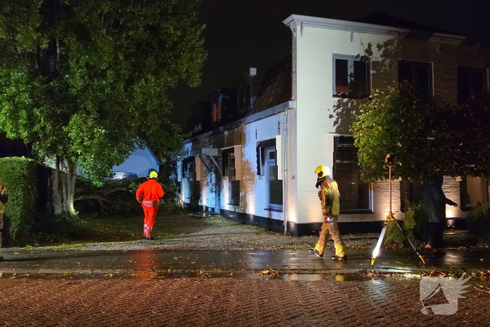 Boom valt op woning en auto