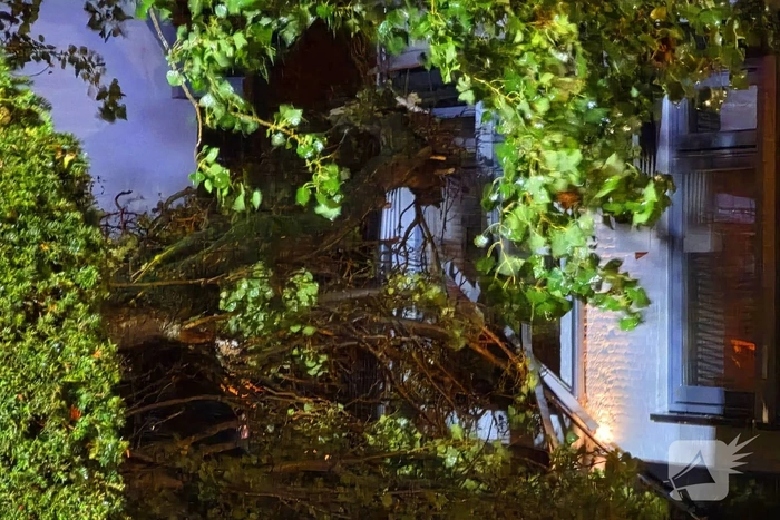 Boom valt op woning en auto
