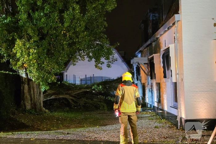 Boom valt op woning en auto