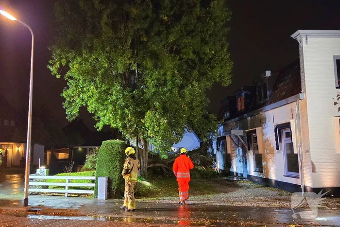 Boom valt op woning en auto