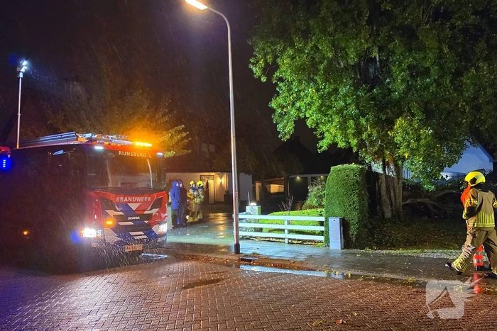 Boom valt op woning en auto