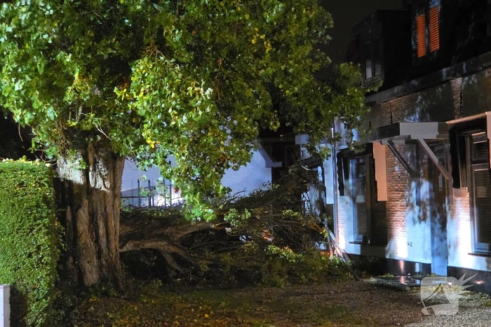 Boom valt op woning en auto