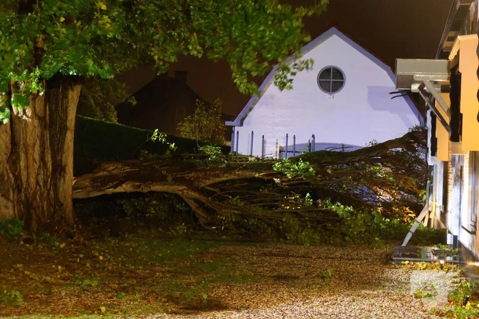 Boom valt op woning en auto