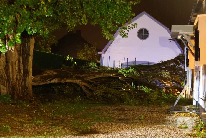 Boom valt op woning en auto
