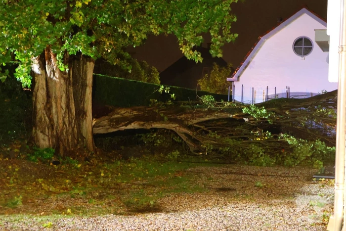 Boom valt op woning en auto
