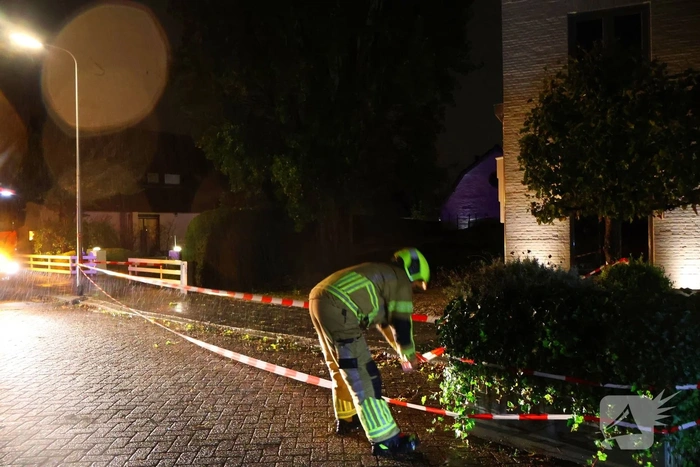 Boom valt op woning en auto