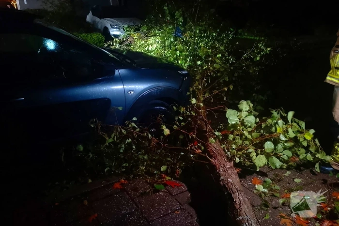 Boom valt op auto door slechte staat
