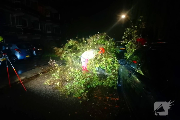 Boom valt op auto door slechte staat