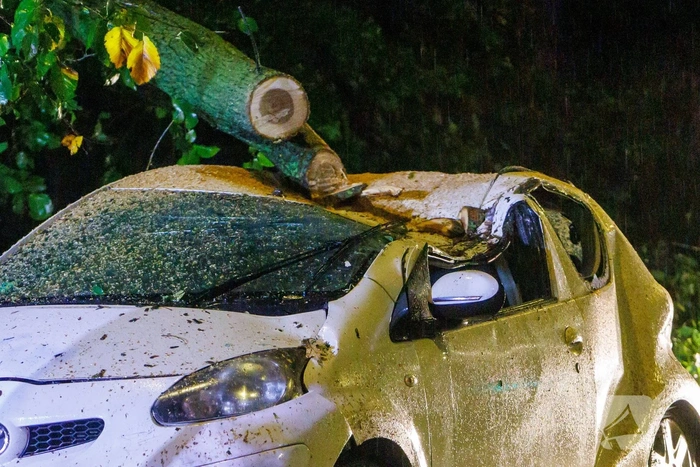 Boom valt op auto door storm