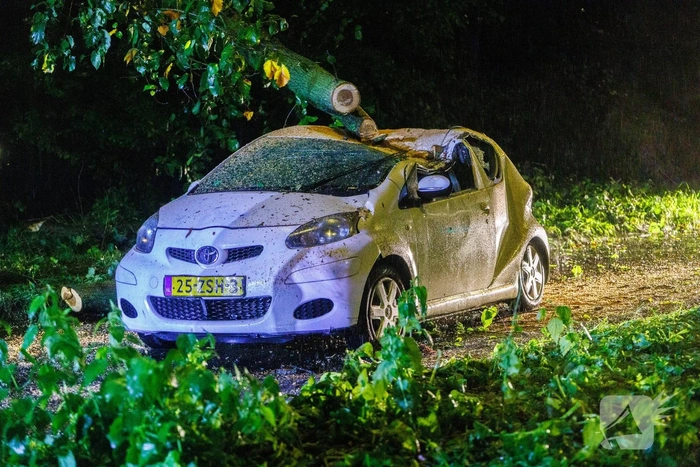 Boom valt op auto door storm