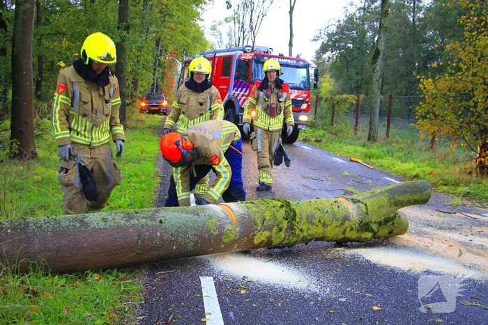 Omgevallen boom blokkeert grensovergang