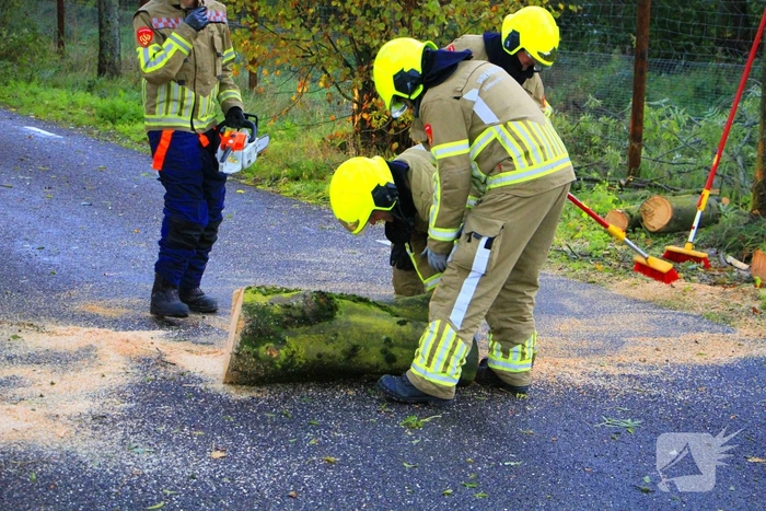 Omgevallen boom blokkeert grensovergang