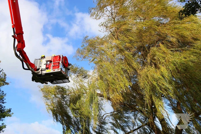 Brandweer verwijdert takken om veiligheid te waarborgen