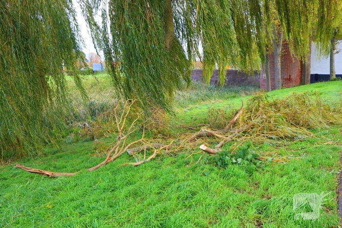 Brandweer verwijdert takken om veiligheid te waarborgen
