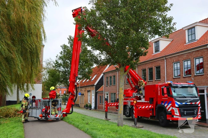 Brandweer verwijdert takken om veiligheid te waarborgen