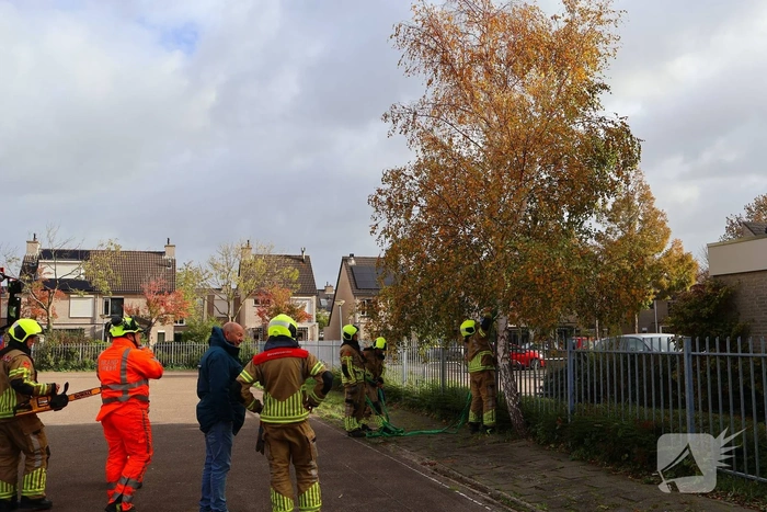 Brandweer zaagt boom gecontroleerd om