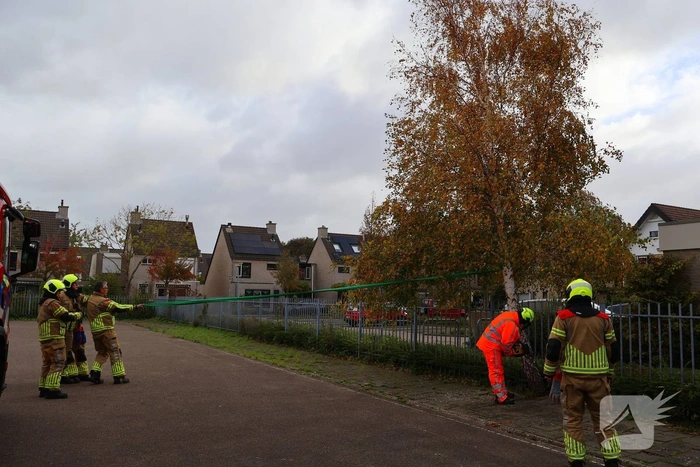 Brandweer zaagt boom gecontroleerd om