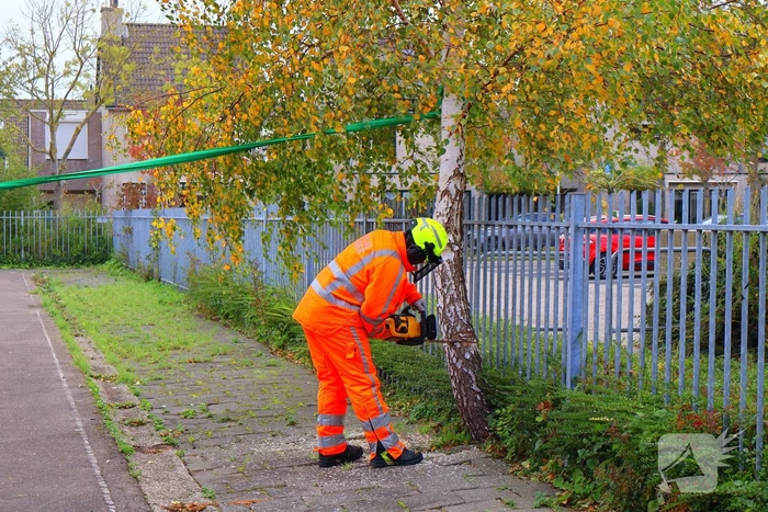 Brandweer zaagt boom gecontroleerd om