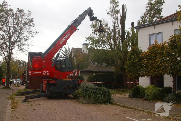 nieuws oegstgeesterweg rijnsburg