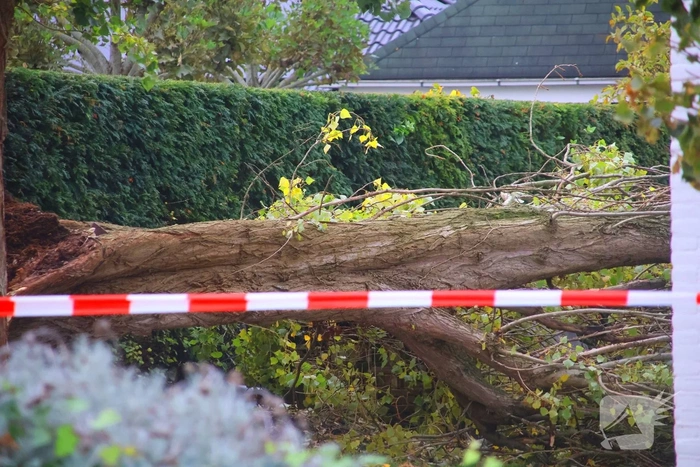 Weg afgesloten vanwege verwijderen boom
