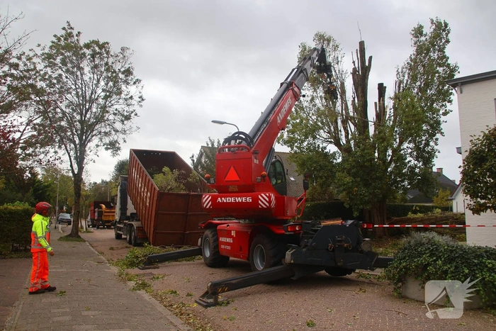 Weg afgesloten vanwege verwijderen boom