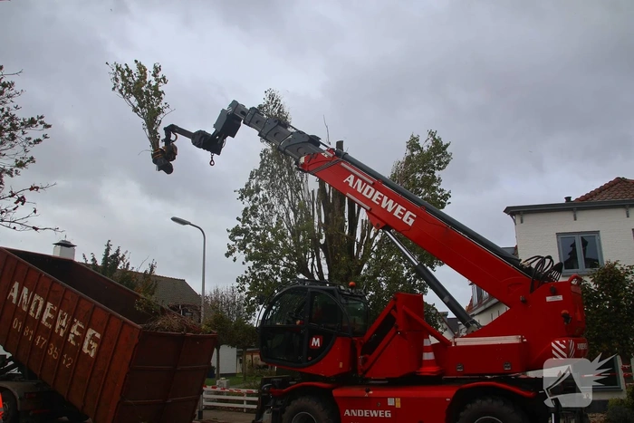 Weg afgesloten vanwege verwijderen boom
