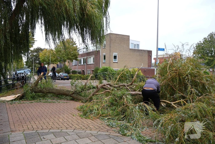 natuur kleipettenlaan rijnsburg