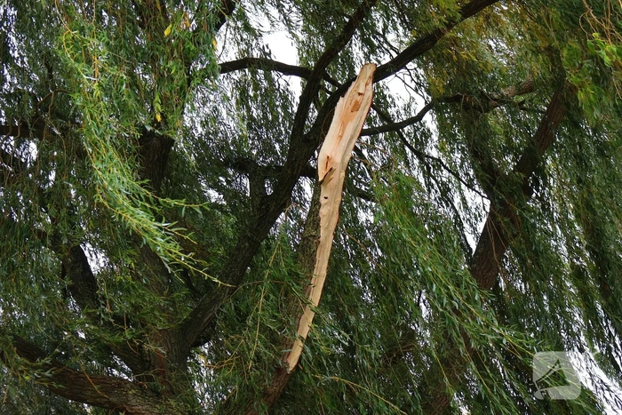 Tak valt op weg door harde wind