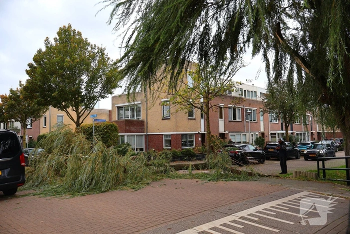 Tak valt op weg door harde wind