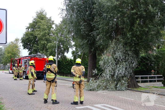 natuur sandtlaan rijnsburg