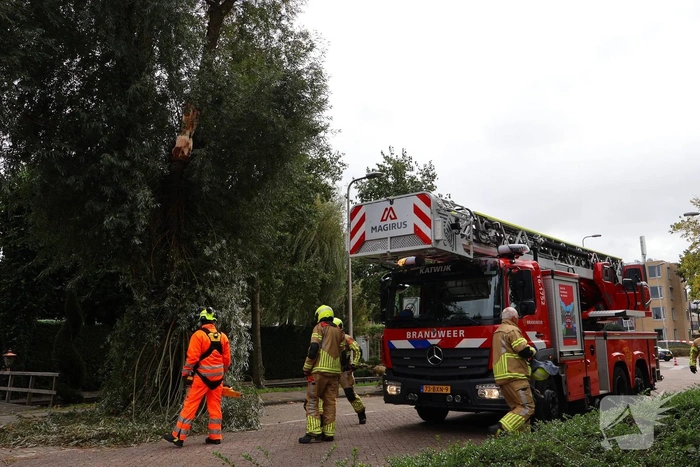 Grote tak breekt af, brandweer ingezet