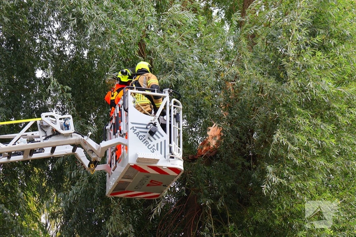 Grote tak breekt af, brandweer ingezet
