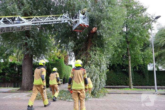 Grote tak breekt af, brandweer ingezet