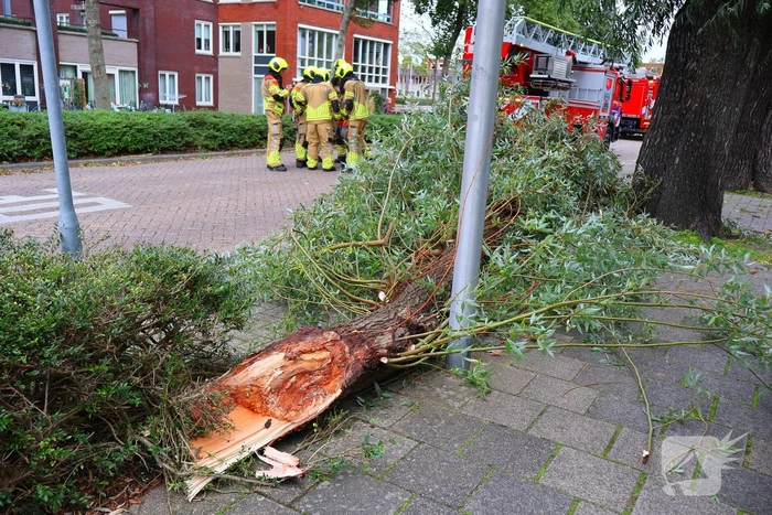 Grote tak breekt af, brandweer ingezet