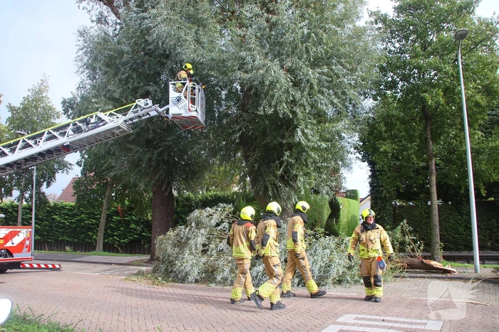 Grote tak breekt af, brandweer ingezet