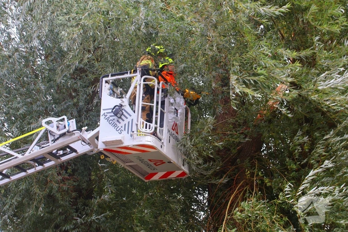 Grote tak breekt af, brandweer ingezet