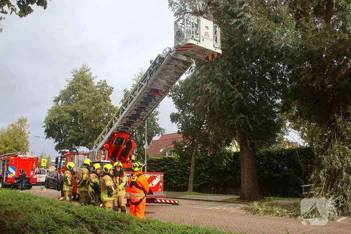 Grote tak breekt af, brandweer ingezet