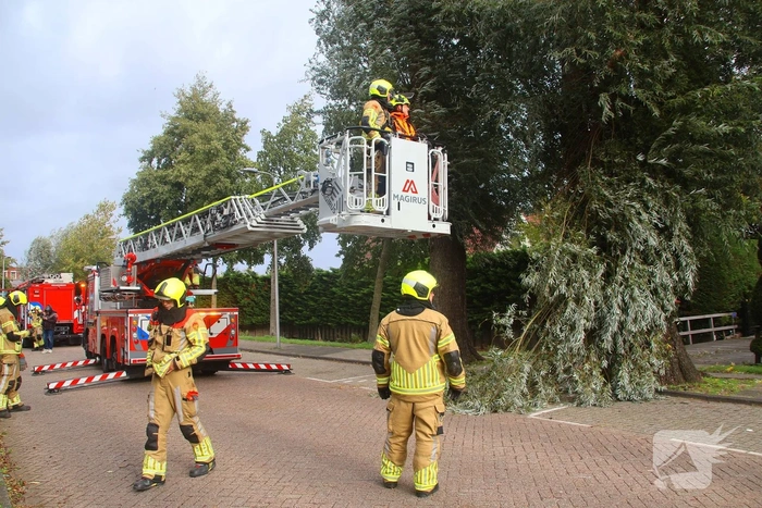 Grote tak breekt af, brandweer ingezet