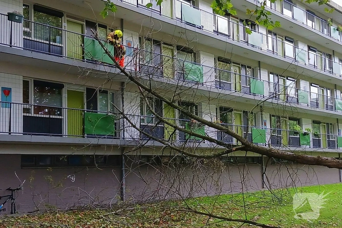 Boom waait om tegen flatgebouw