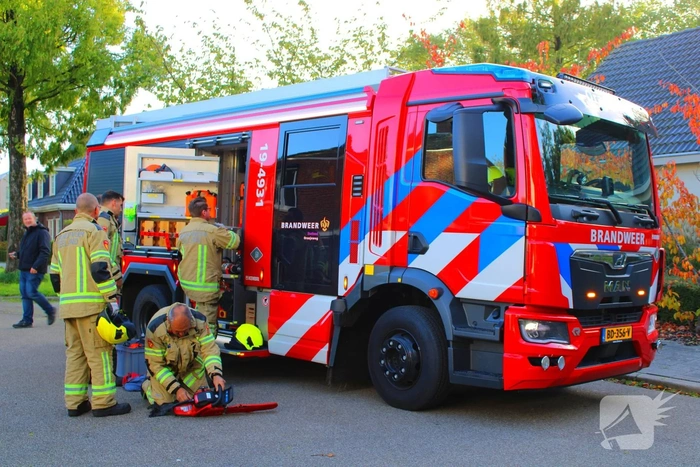 Boom valt om op speelplaats